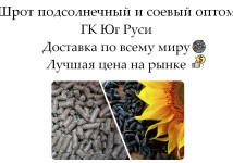 Шрот подсолнечный и соевый оптом от производителя ГК Юг Руси