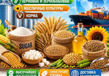 Сахар, зерновые и зернобобовые, масличные культуры, корма