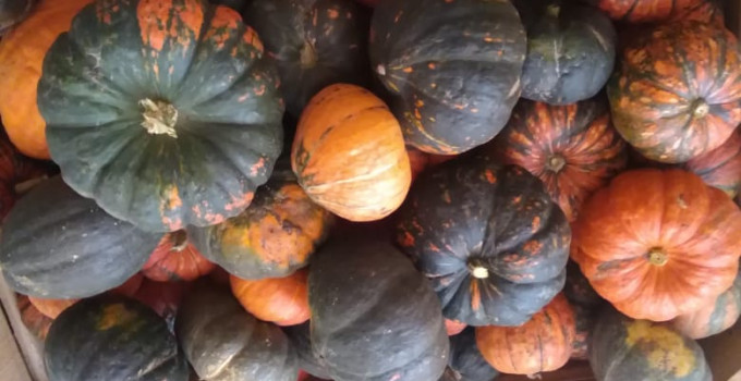 Продам тыкву Улыбка Конфетка