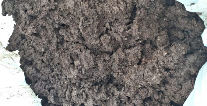 Покровная почва для выращивания шампиньонов