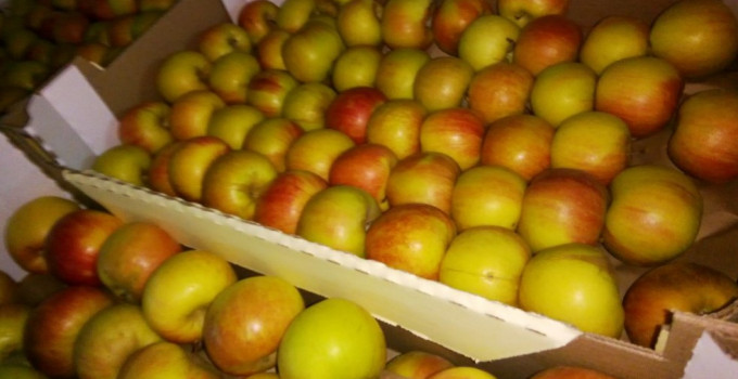 Яблоки Фуджи, сорт 1, калибр 65-70 в картонном лотке 60х40, вес 13-15кг мытые полированные