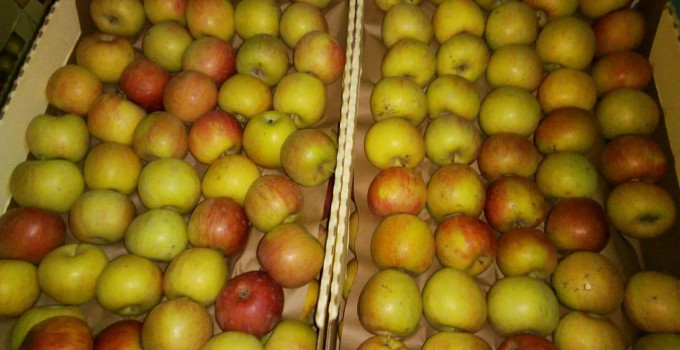 Яблоки Фуджи, сорт 1, калибр 65-70 в картонном лотке 60х40, вес 13-15кг мытые полированные