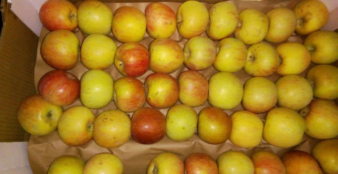 Яблоки Фуджи, сорт 1, калибр 70-75 в картонном лотке 60х40, вес 13-15кг мытые полированные