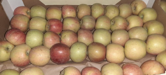 Яблоки Фуджи, сорт 2, калибр 65-70 в картонном лотке 60х40, вес 13-15кг мытые полированные