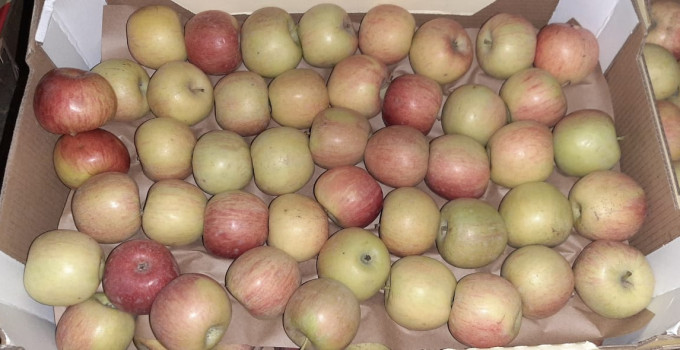 Яблоки Фуджи, сорт 2, калибр 65-70 в картонном лотке 60х40, вес 13-15кг мытые полированные