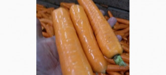 Производитель реализует мытую морковь 2 сорта, Ставропольский край