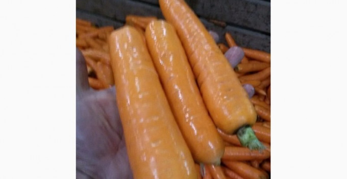 Производитель реализует мытую морковь 2 сорта, Ставропольский край