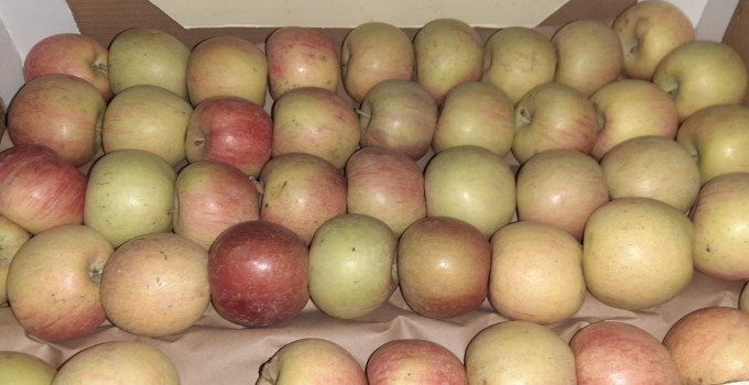 Яблоки Фуджи, сорт 2, калибр 55-65 в картонном лотке 60х40, вес 13-15кг мытые полированные