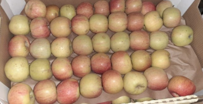 Яблоки Фуджи, сорт 2, калибр 55-65 в картонном лотке 60х40, вес 13-15кг мытые полированные