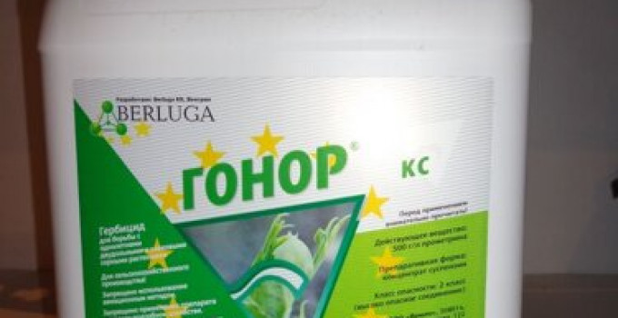 Гонор, КС