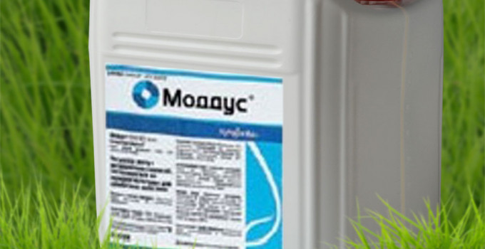 Регулятор роста растений Моддус, КЭ